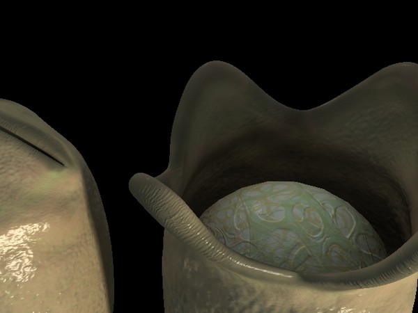 modeled facehugger egg 3d max - Facehugger N Egg. by Andrew Alonso